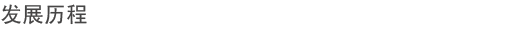 发展历程